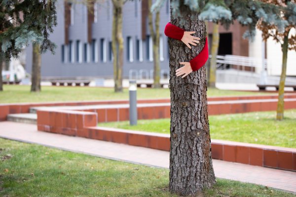 Tarptautinės neįgaliųjų dienos proga miestą puošia šilti apkabinimai