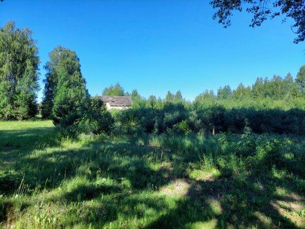 Sudarytas preliminarus 2021 m. Nenaudojamų, apleistų ar netinkamai naudojamų žemės sklypų sąrašas