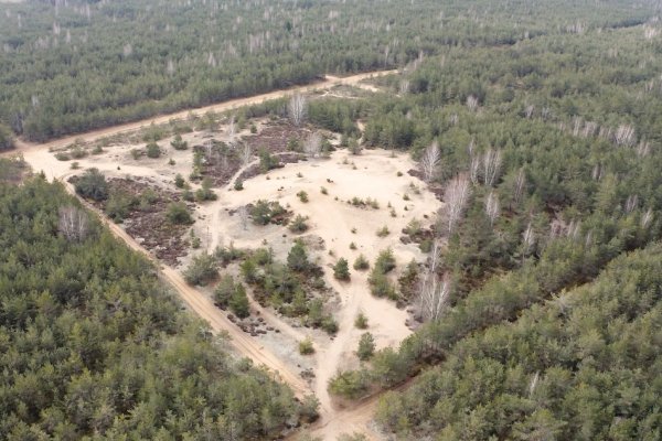 Dumsių kopoje ieškos saugotinų vertybių