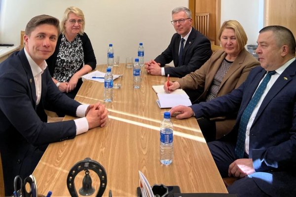 Susitikime Seime meras siūlo atidėti reformą, išsaugoti ligoninę