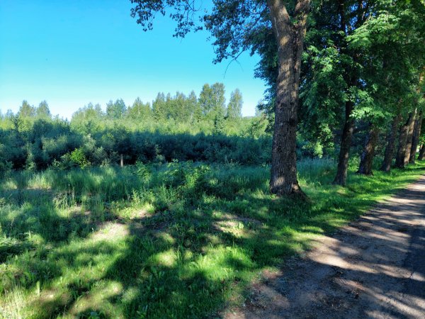 Sudarytas preliminarus 2022 m. Nenaudojamų, apleistų ar netinkamai naudojamų žemės sklypų sąrašas