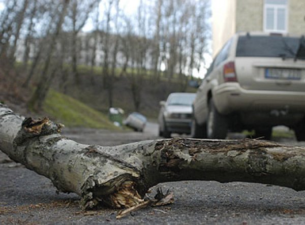 Dėl paramos patekus į ekstremalią situaciją