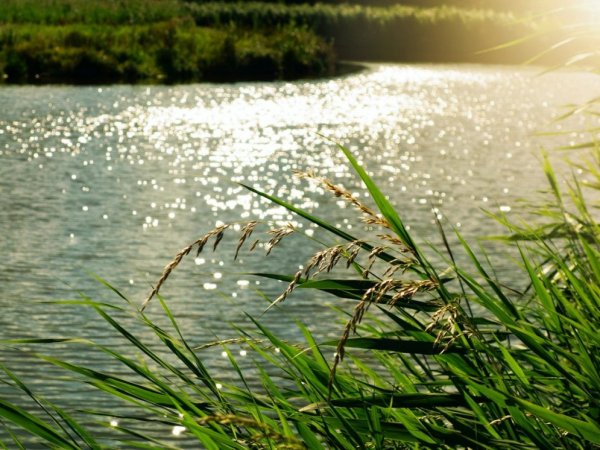 Žeimių tvenkinyje maudytis nerekomenduojama