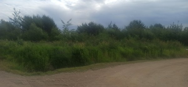 Sudarytas preliminarus 2023 m. Nenaudojamų, apleistų ar netinkamai naudojamų kitos paskirties...