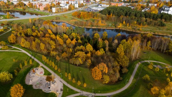 Perspėjimas apie smarkų vėją 