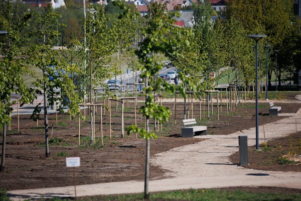 Kviečiame balsuoti dėl naujo parko pavadinimo