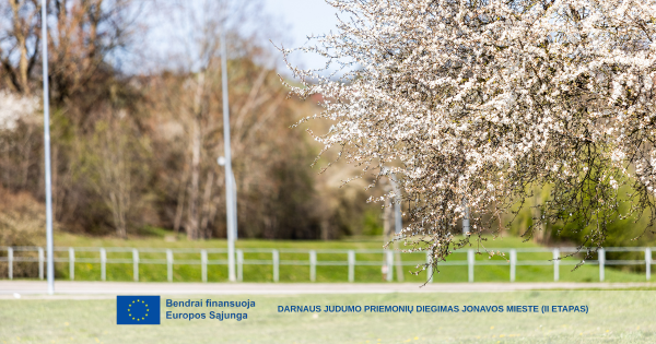 Darnaus judumo priemonių diegimas Jonavos mieste (II etapas)