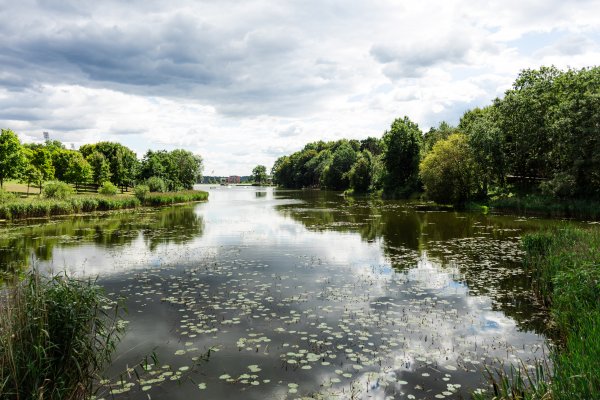 Atlikti Jonavos rajono maudymosi vietų vandens tyrimai